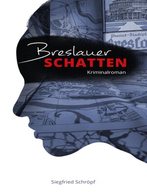cover image of Breslauer Schatten